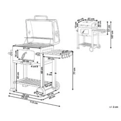Beliani Houtskoolgrill PAVLOF - Grijs Staal -VIDAXL Verkoop 1000059683 0102